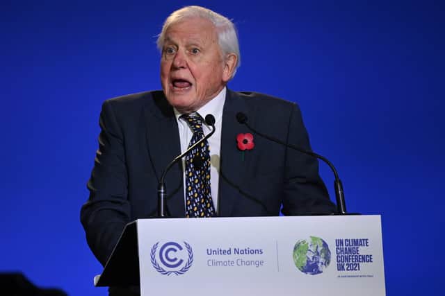 At 95, Sir David made an impassioned speech at the COP26 climate conference in Glasgow. (Photo: Getty Images) 