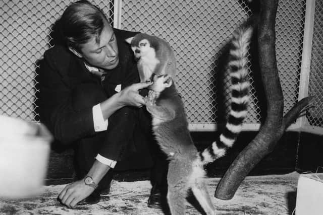 He began his career filming and presenting stories about animals, plants and their habitats. (Photo: Getty Images) 