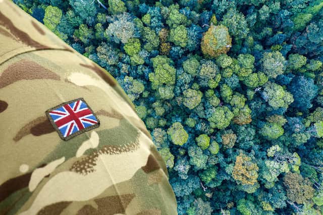 Ex soldier launches project to triple UK’s ‘stunning’ rainforests. (Photo: NationalWorld/Kim Mogg/Adobe Stock) 