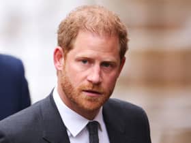Ghostwriter John Moehringer said he and Prince Harry argued multiple times over details of the book (Photo: Getty Images)