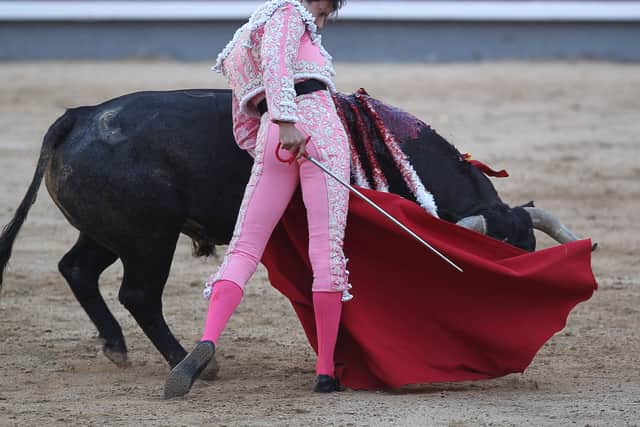 Bullfighting: A controversial, if cultural significant sport