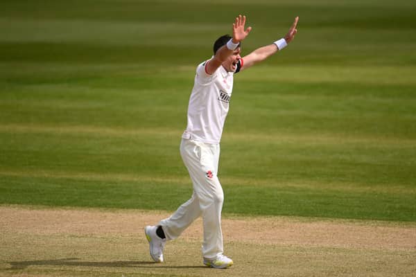 James Anderson celebrates a wicket in recent county championship match against Somerset