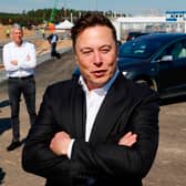 Elon Musk in 2020 (Photo: ODD ANDERSEN/AFP via Getty Images)