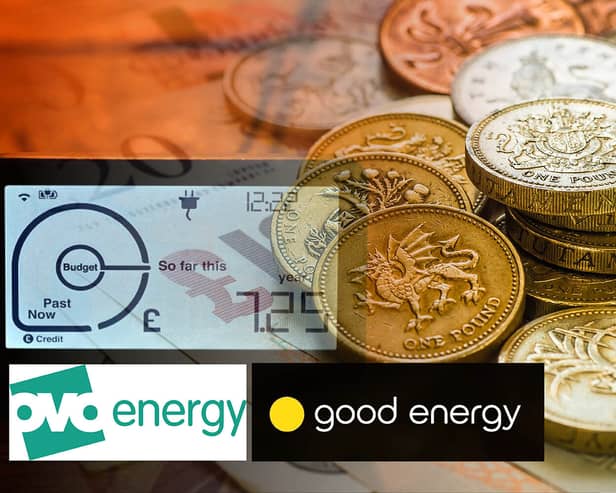 Energy bills have been overcharged by Ovo and Good Energy, according to Ofgem (images: PA/AFP/Getty Images/Good Energy)