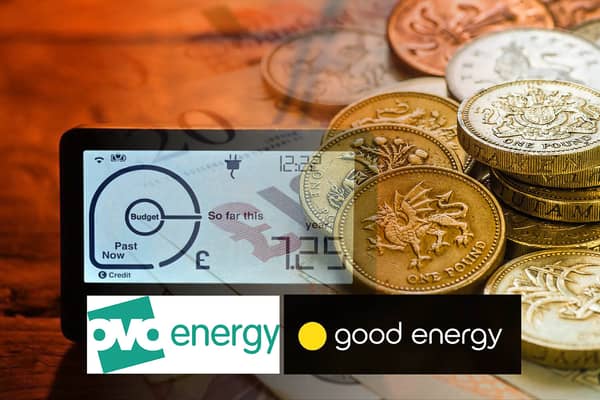 Energy bills have been overcharged by Ovo and Good Energy, according to Ofgem (images: PA/AFP/Getty Images/Good Energy)