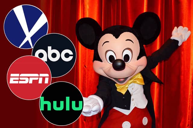 You'll be surprised to know that Disney owns these 9 companies including ABC and ESPN.