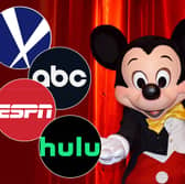 You'll be surprised to know that Disney owns these 9 companies including ABC and ESPN.