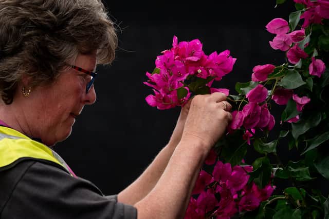 Ticket availability for the Chelsea Flower Show 2023 is low amid high demand - Credit: Getty
