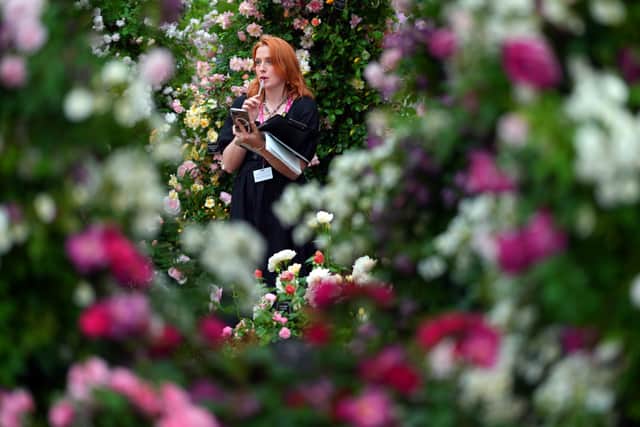 The Chelsea Flower Show 2023 is broadcast live on BBC Two and can be streamed via BBC iPlayer on the go - Credit: Getty