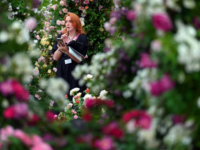 The Chelsea Flower Show 2023 is broadcast live on BBC Two and can be streamed via BBC iPlayer on the go - Credit: Getty