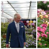 King Charles and Queen Camilla at the Chelsea Flower Show 2023. Photographs by Getty