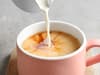 International Tea Day: Scientists settle great debate of milk in first or last in a cuppa - but do you agree?