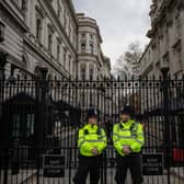 A car has reportedly crashed into the security gates outside Downing Street (Photo by Rob Pinney/Getty Images)