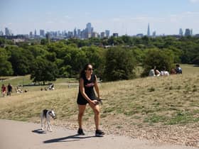 A woman walks a dog on Primrose Hill on July 10, 2022 in London, England. Credit: Hollie Adams/Getty Images