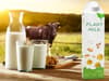 This World Milk Day I want to praise plant-based milk - a much-needed sustainable alternative