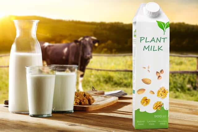 World Milk Day takes place every 1 June 
