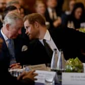 LONDON, ENGLAND - FEBRUARY 14:  Prince Harry and Prince Charles, Prince of Wales attend the 'International Year of The Reef' 2018 meeting at Fishmongers Hall on February 14, 2018 in London, England.  (Photo by Matt Dunham - WPA Pool/Getty Images)