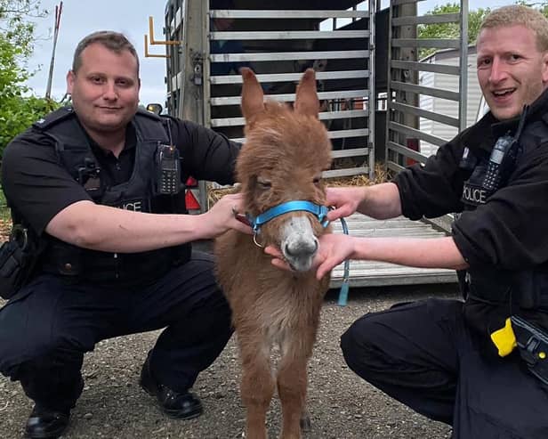 Police officers with Moon, a mini-donkey who was stolen from a field but has now been reunited with her mum and owners.