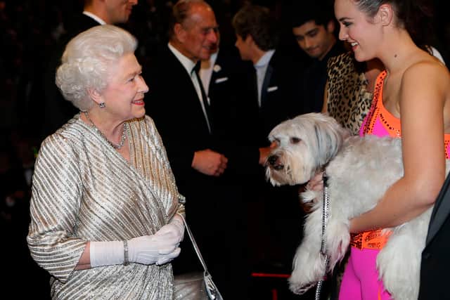 LONDON, UNITED KINGDOM - NOVEMBER 19: Queen Elizabeth II greets Ashleigh and her performing dog Pudsey after the Royal Variety Performance at the Royal Albert Hall on November 19, 2012 in in London, United Kingdom.  (Andrew Winning - WPA Pool/Getty Images)