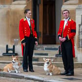 Corgis have become a royal symbol following the Queen's love (Pic:Getty)