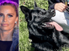 Katie Price dog: TV star announces death of 'best friend' Blade - what did she say on Instagram?