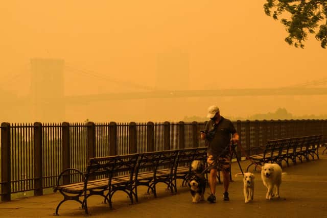 A person walks dogs as smoke from wildfires in Canada cause hazy conditions in New York City on June 7, 2023. (Photo by ANGELA WEISS/AFP via Getty Images)
