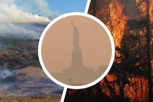 Climate change will make wildfires more frequent and intense. Image: NationalWorld