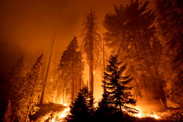 UK to see wildfires like Mediterranean in future as temperatures rise. (Photo: Getty Images) 