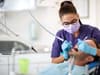 NHS dentists: areas of England and Wales with the highest proportion of private dentists revealed in new data