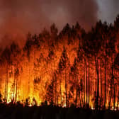 Concerns as wildfire risk raised to ‘very high’ in parts of UK. (Photo: AFP via Getty Images) 