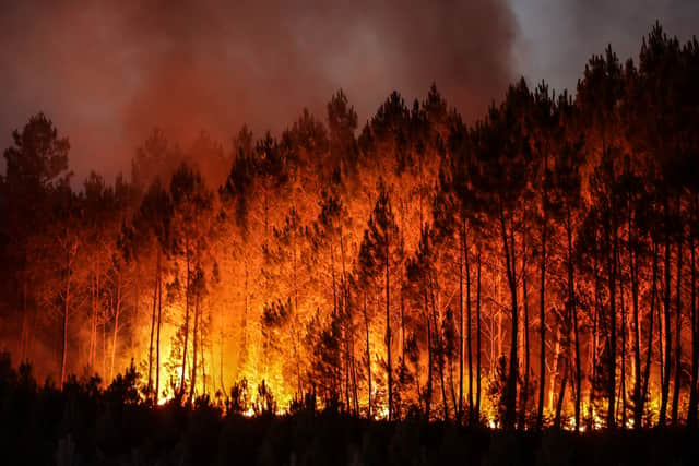 Concerns as wildfire risk raised to ‘very high’ in parts of UK. (Photo: AFP via Getty Images) 