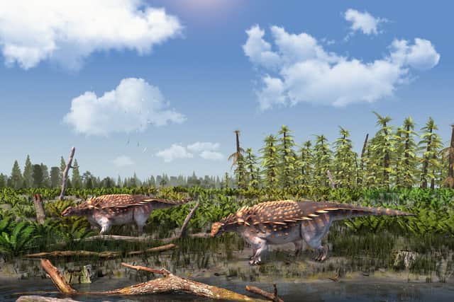 Armoured dinosaur discovered in UK ‘for first time in 142 years’. (Photo: Stuart Pond/NHM/PA Wire) 