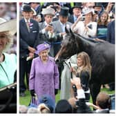Could any of the horses belonging to King Charles win at Ascot 2023? Photographs by Getty