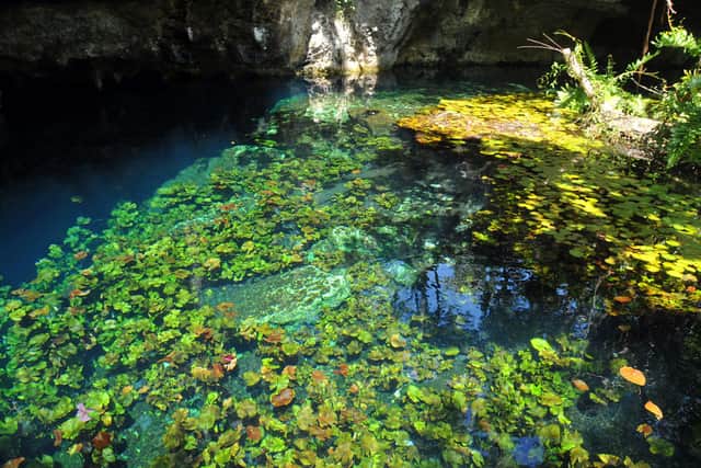 Sistema Sac Actun; the world's longest underwater cave (Credit: anjči @ Flickr)