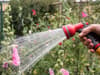 Rise in home working to blame as new hosepipe ban introduced, water firm says
