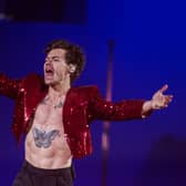 Police are appealing for information after a woman was allegedly sexually assaulted at a Harry Styles concert (Photo: Gareth Cattermole/Getty Images)