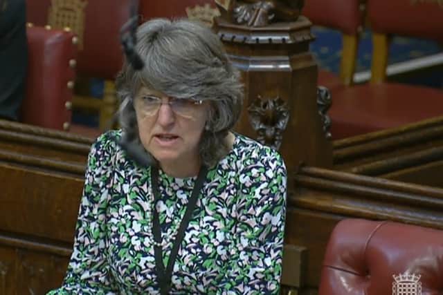 Baroness Finlay wants the Online Safety Bill to be amended so that laws on child pornography can be updated in line with rapidly-developing online spaces such as the Metaverse. Credit: PA, Photo Date: date: Sunday April 10, 2022