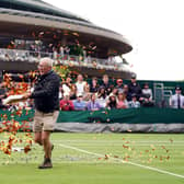 A protester on court 18 throwing confetti on to the grass during Katie Boulter's first-round match against Daria Saville (Adam Davy/PA Wire)