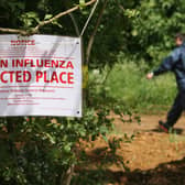 A bird flu outbreak has been confirmed in Cumbria after the disease was detected near Bootle. (Credit: Getty Images)