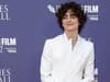 As the trailer drops for Wonka with Timothée Chalamet in the title role, who else is cast in the film?