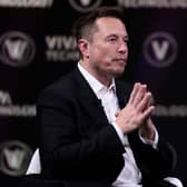 Elon Musk in June (Photo: JOEL SAGET/AFP via Getty Images)