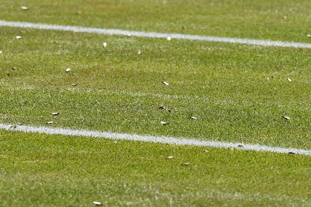 A picture shows the court covered in flying ants as Ukraine's Sergiy Stakhovsky plays against Japan's Kei Nishikori during their men's singles second round match on the third day of the 2017 Wimbledon Championships