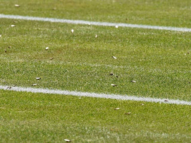 A picture shows the court covered in flying ants as Ukraine's Sergiy Stakhovsky plays against Japan's Kei Nishikori during their men's singles second round match on the third day of the 2017 Wimbledon Championships