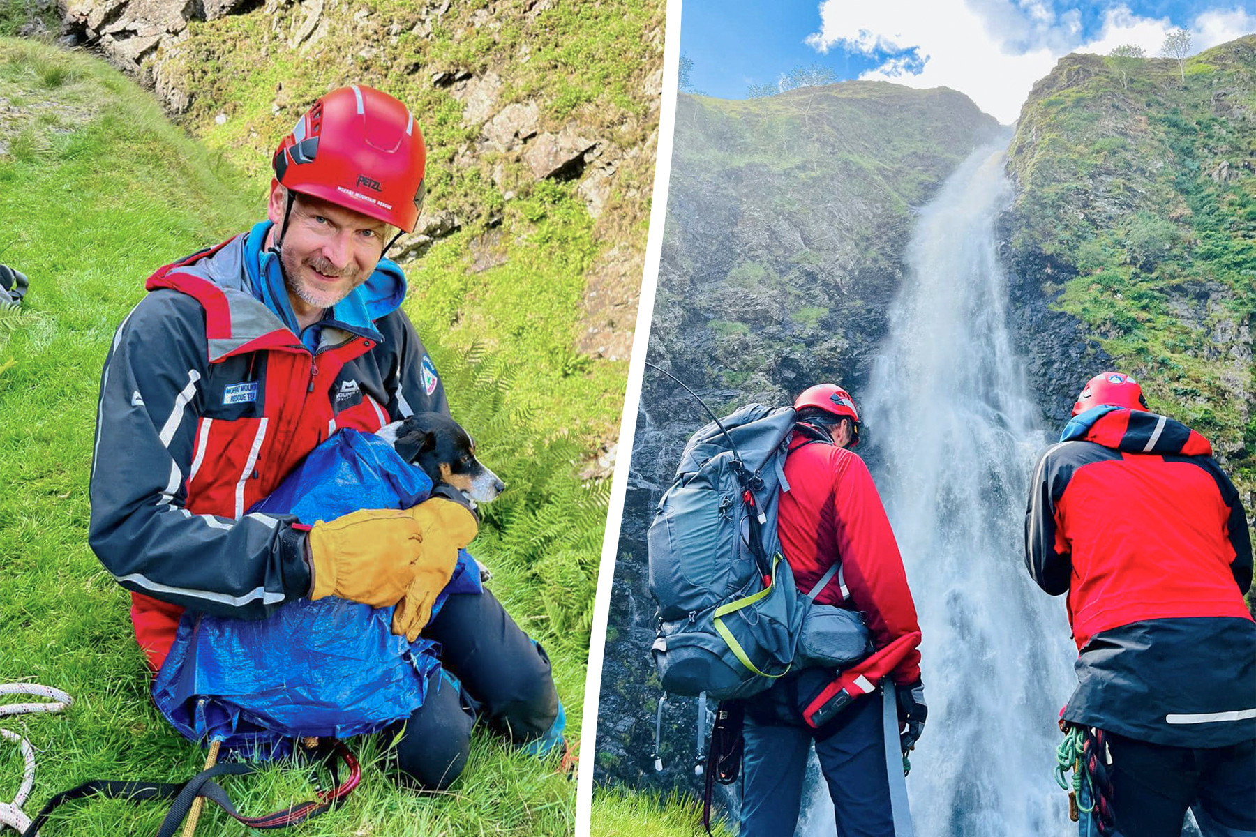 Dog rescued after falling down one of UK’s biggest waterfalls