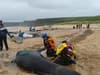 Isle of Lewis whale stranding: Pod of 50 pilot whales dead in 'one of Scotland's biggest ever mass strandings'