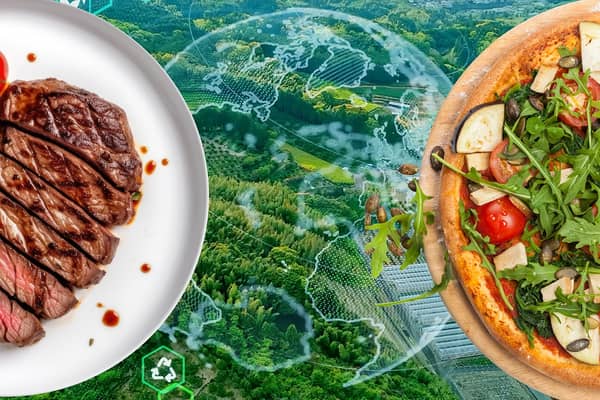 A new study has found meat-free eating has a much lower environmental impact on emissions, land use, water pollution risk, water use and biodiversity loss (Image: NationalWorld/Adobe Stock)