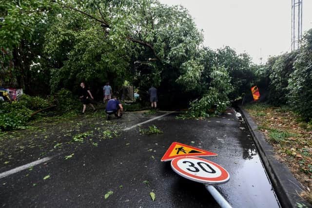 Local residents try to remove fallen trees from the road after a sudden storm in Zagreb (Photo: Getty Images)