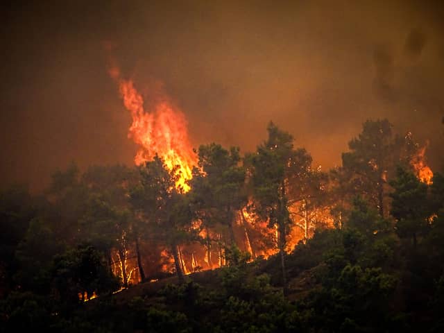Greece wildfires are spreading as Rhodes is one of the worst affected areas, leading to the evacuation of residents and tourists from homes and hotels - Credit: Getty