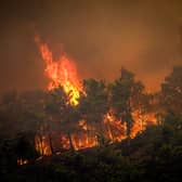 Greece wildfires are spreading as Rhodes is one of the worst affected areas, leading to the evacuation of residents and tourists from homes and hotels - Credit: Getty