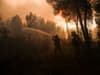 Greece wildfires: Sea evacuations begin in Corfu as rescue flights land in fire-hit Rhodes